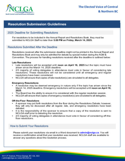 2025 Resolution Guidelines