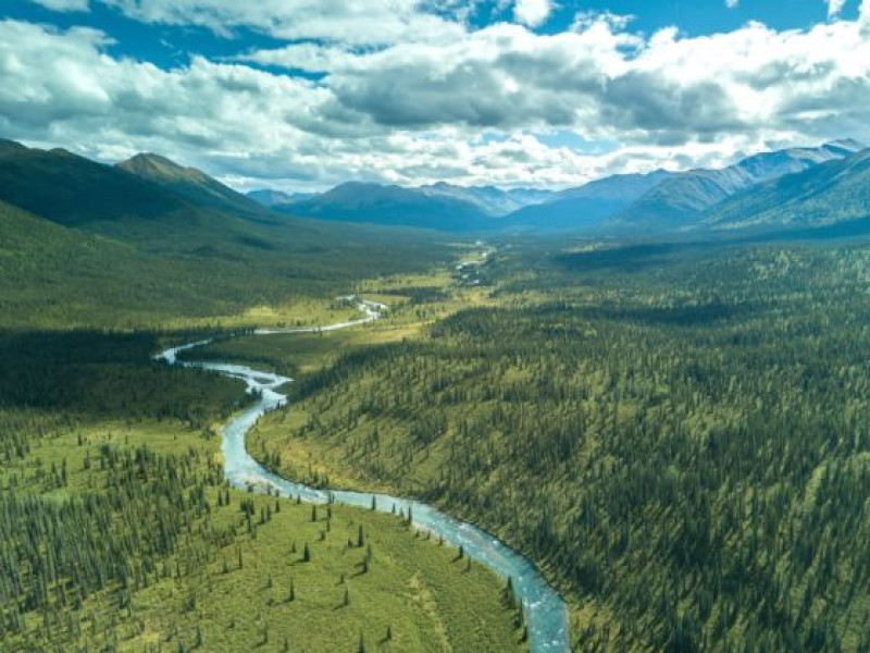 An-untouched-river-flows-in-northern-British-Columbia-560x420.jpg